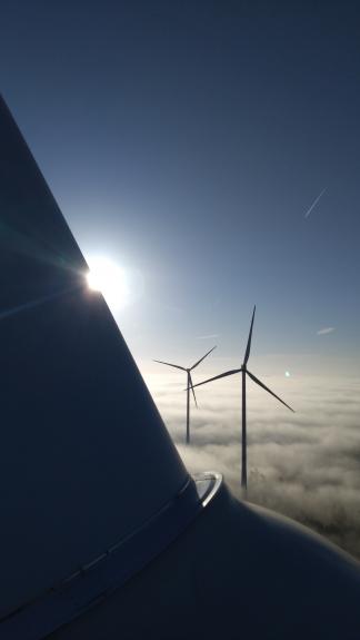 Getriebevideoendoskopie