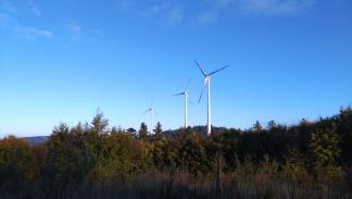 Gewährleistungsprüfung