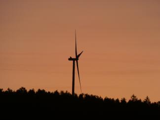 Getriebevideoendoskopie